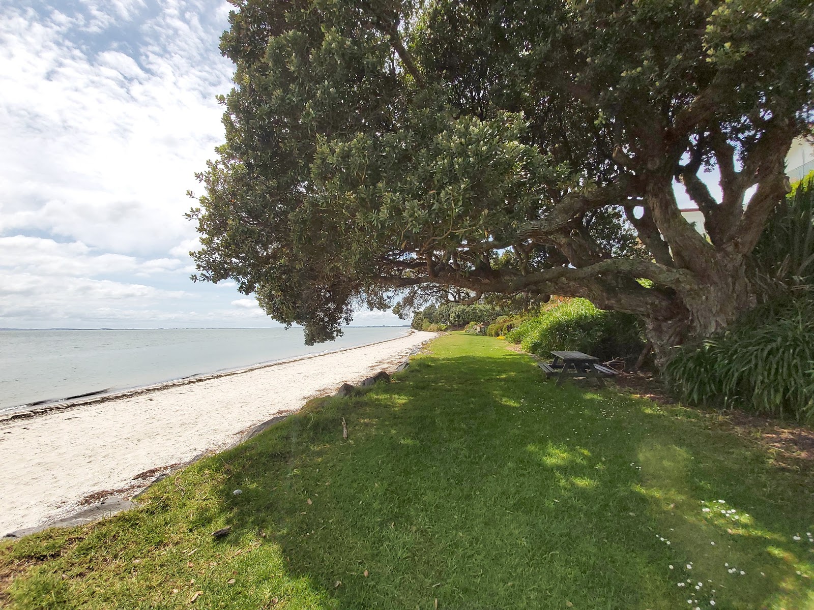 Clarks Beach photo #9