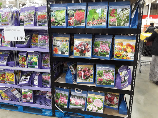 Department Store «Bon-Ton», reviews and photos, 443 E Main St, Westfield, MA 01085, USA