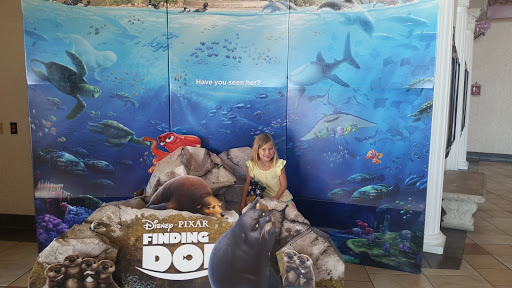 Movie Theater «B&B Theatres Overland Park 16», reviews and photos, 8601 W 135th St, Overland Park, KS 66223, USA