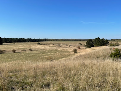 Naturschutzgebiet Sandberge Oberweiden