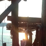 Photo n°1 de l'avis de Chiara.u fait le 31/08/2018 à 14:26 sur le  Il Trabucco da Elia à Manaccora