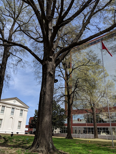 Museum «Old State House Museum», reviews and photos, 300 W Markham St, Little Rock, AR 72201, USA