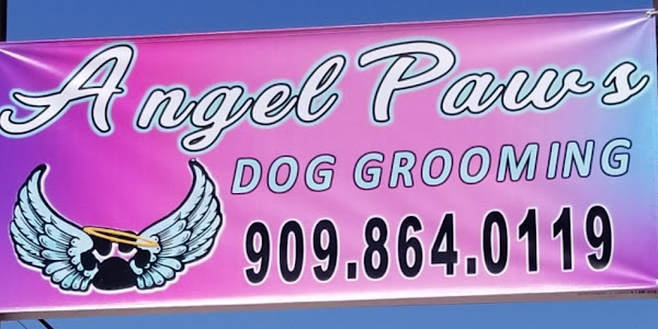 Angel Paws Dog Grooming