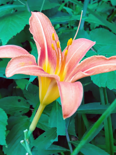 Park «Theodore Wirth Regional Park», reviews and photos, 1339 Theodore Wirth Pkwy, Golden Valley, MN 55422, USA