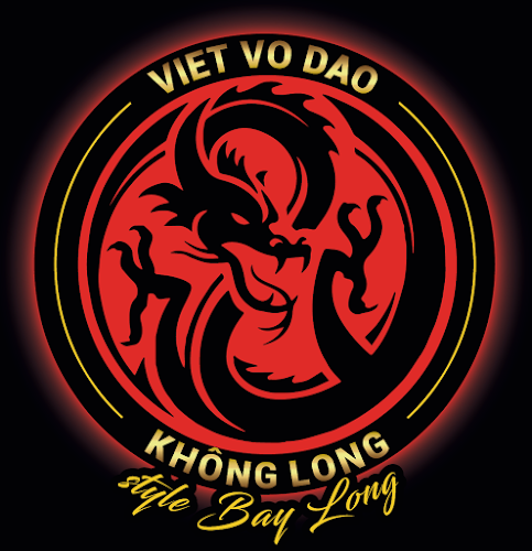 Dojo Không Long - Arts martiaux traditionnels - Viet Vo Dao - Kung Fu - Qi Gong - Taï Chi Chuan à Saint-Rémy-de-Provence