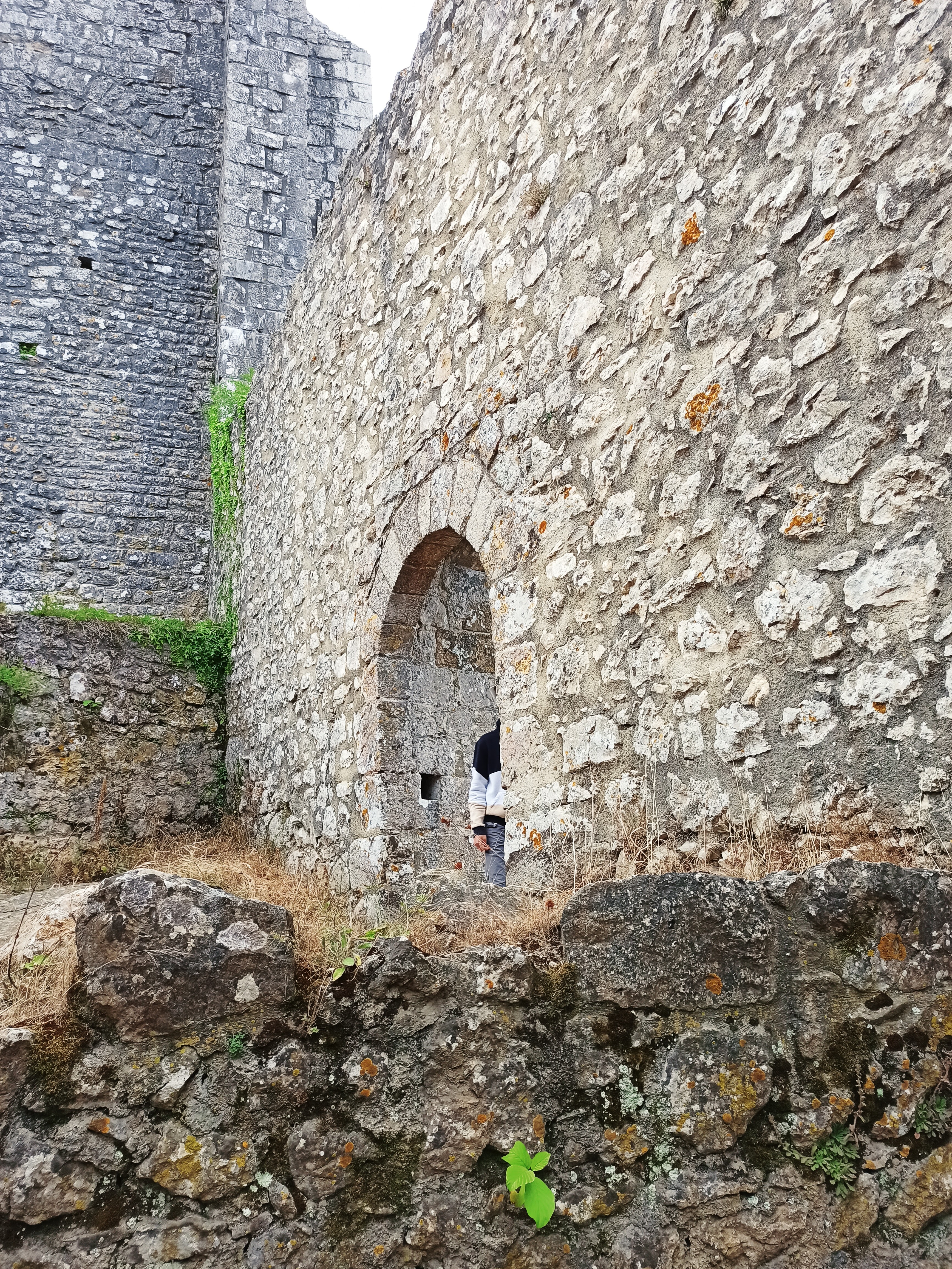 Photo n° 2 de l'avis de Eurydice.A fait le 18/07/2020 à 21:48