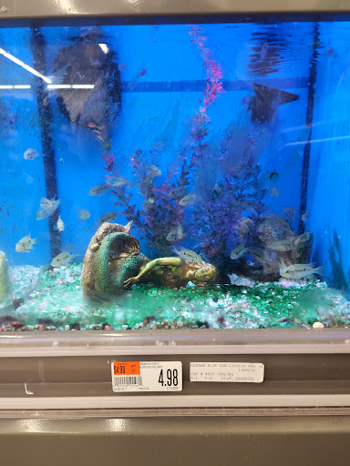 Pet Supply Store «Pet Supplies Plus», reviews and photos, 2801 Wade Hampton Blvd #100, Taylors, SC 29687, USA