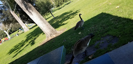 Park «Carbon Canyon Regional Park», reviews and photos, 4442 Carbon Canyon Rd, Brea, CA 92823, USA