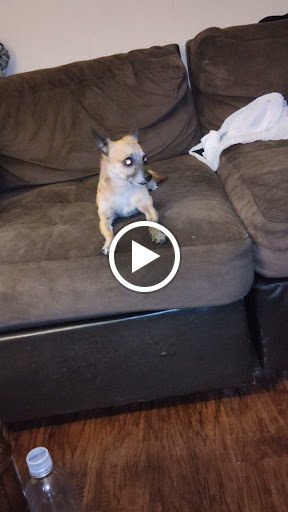 Pawn Shop «Money Bridge Pawn & Loan, Inc.», reviews and photos, 11349 San Jose Blvd, Jacksonville, FL 32223, USA