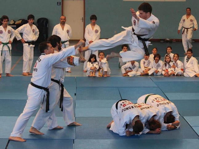 INATEL Artes Marciais Taekwondo - Academia