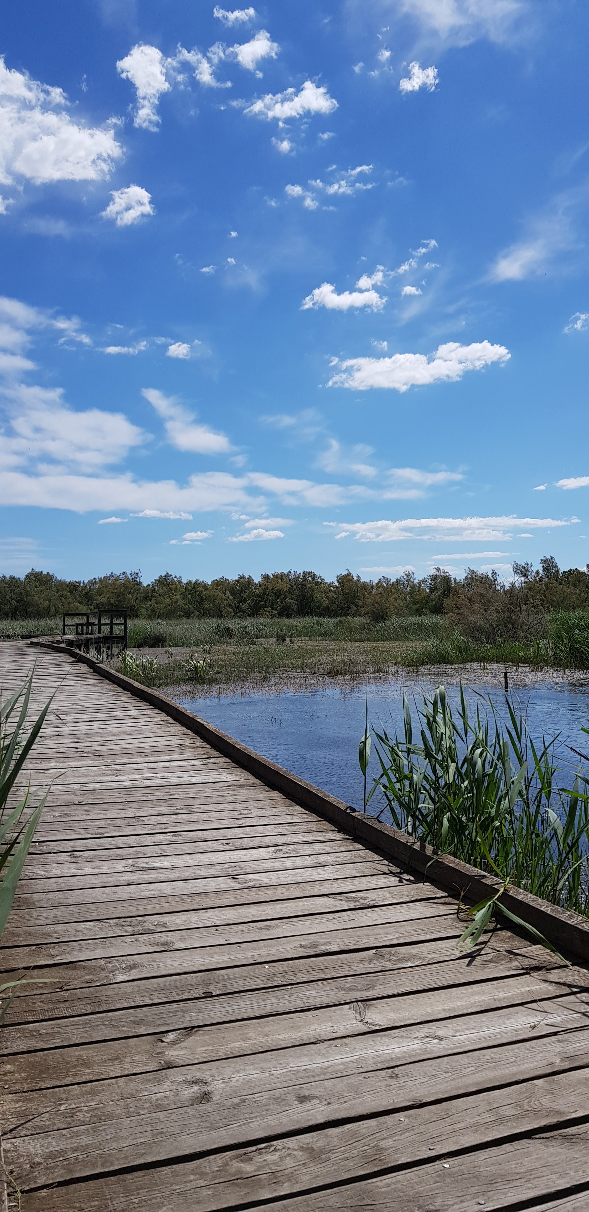 Photo n° 2 de l'avis de van. fait le 29/05/2019 à 16:20