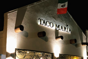Taco Maria image