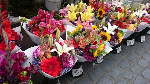 Market «Portland Saturday Market», reviews and photos, 2 SW Naito Pkwy, Portland, OR 97204, USA