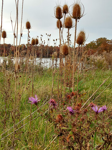 Tourist Attraction «Caesar Creek Visitor Center», reviews and photos, 4020 N Clarksville Rd, Waynesville, OH 45068, USA