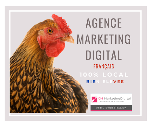 Agence de marketing CM Marketing Digital Seysses-Savès