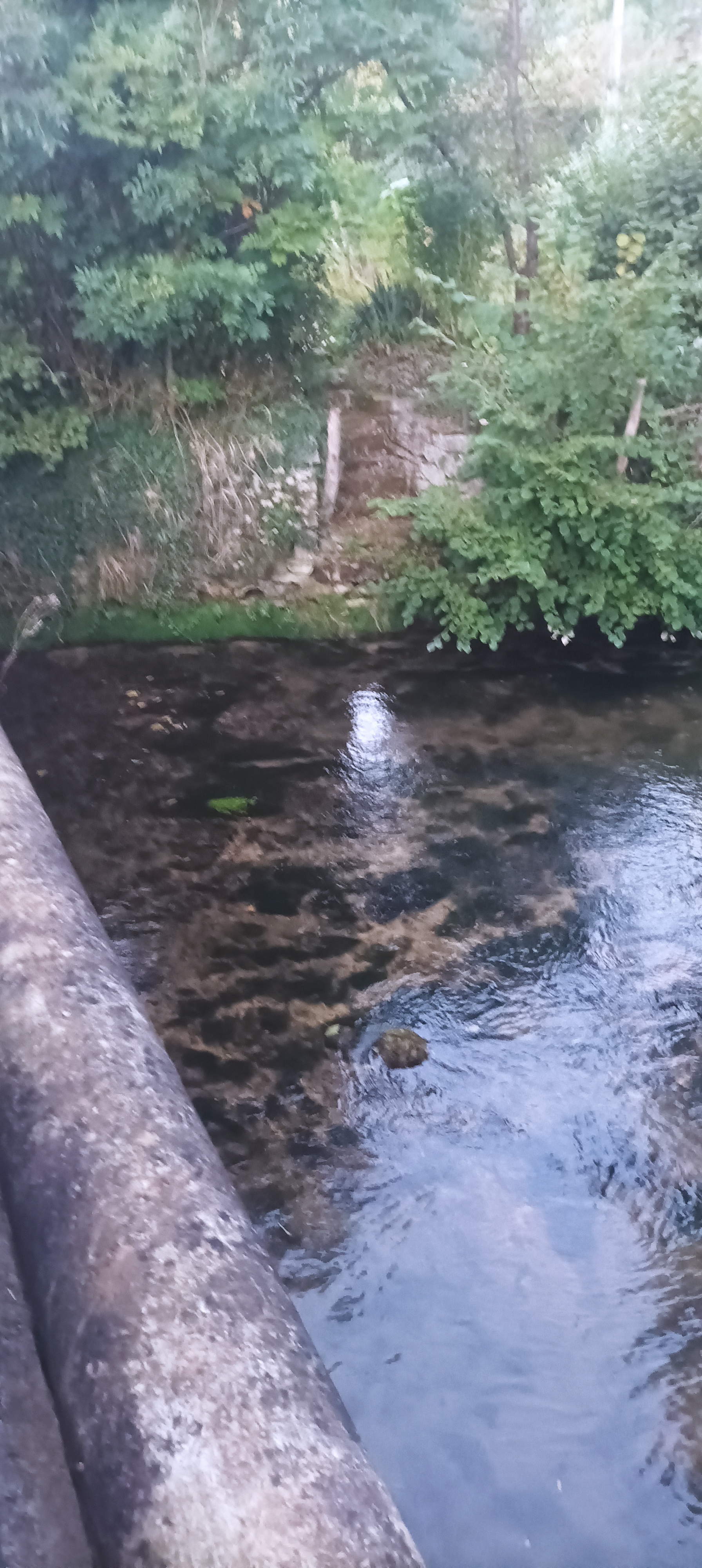 Photo n° 7 de l'avis de Didier.t fait le 12/10/2023 à 09:37