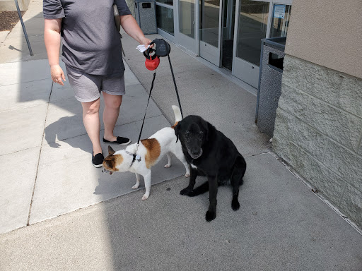 Pet Supply Store «Petco Animal Supplies», reviews and photos, 10511 S 15th St, Bellevue, NE 68123, USA