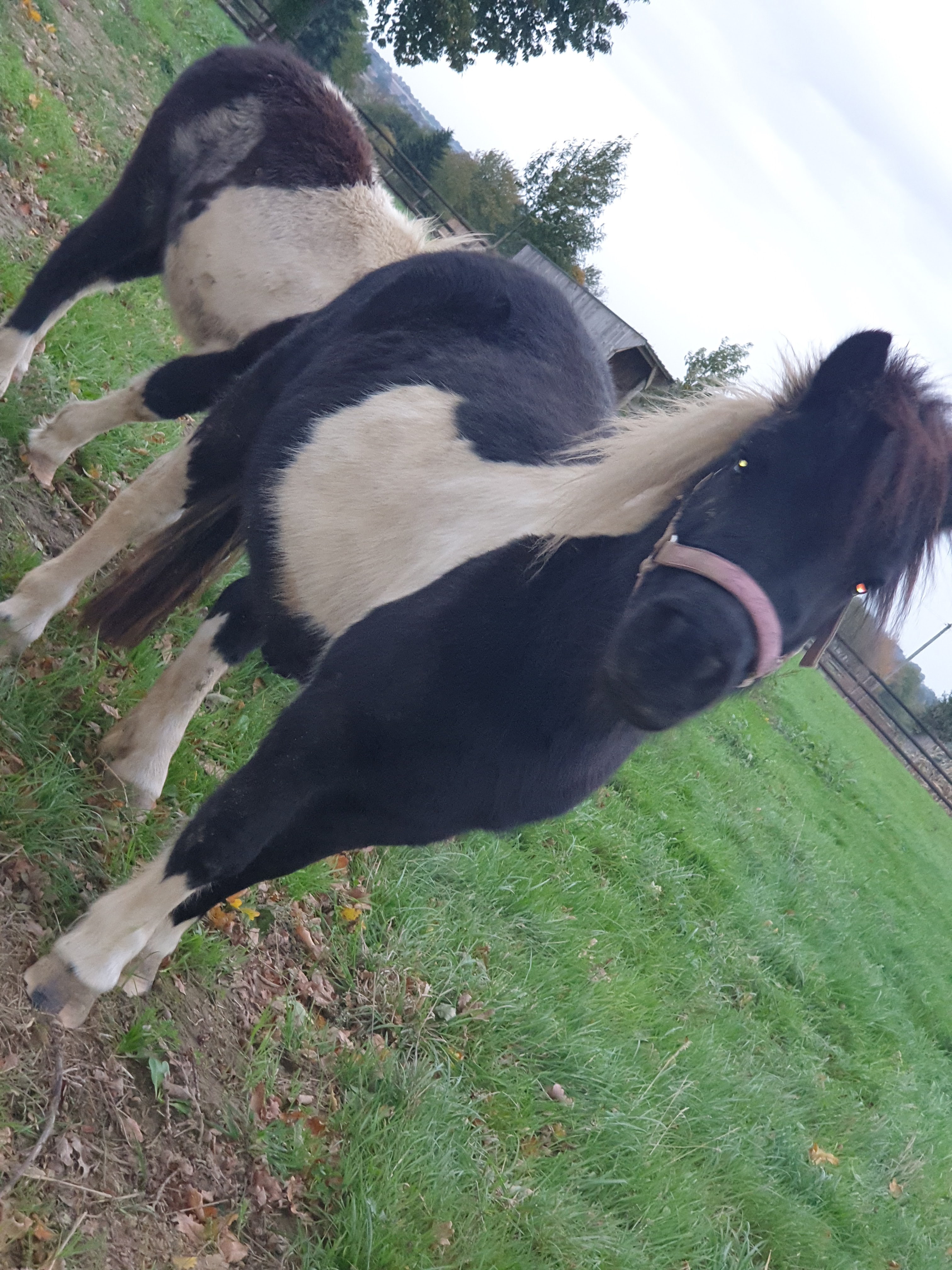 Photo n° 6 de l'avis de Jorge.a fait le 27/10/2019 à 08:23