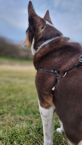 Park «Richfield Park», reviews and photos, 7250 Chapman Rd, North Richland Hills, TX 76182, USA