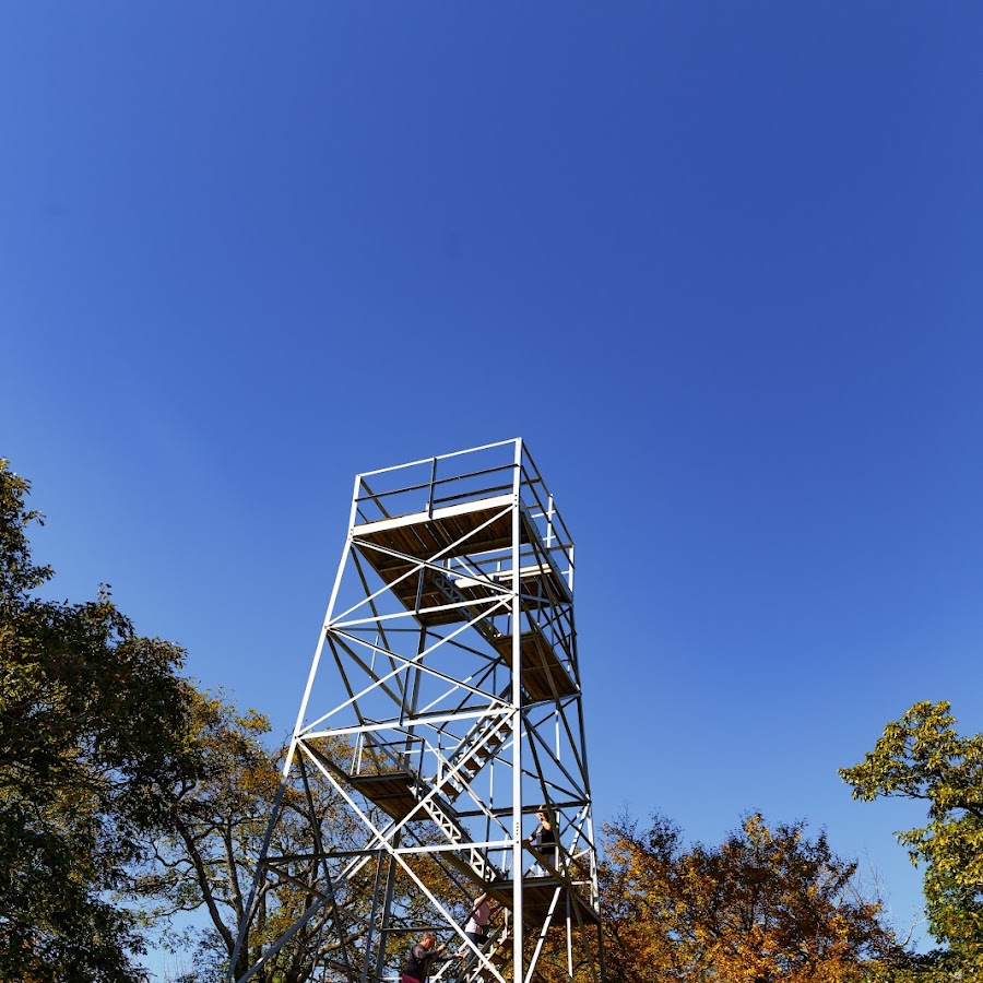 Flat Top Lookout Tower