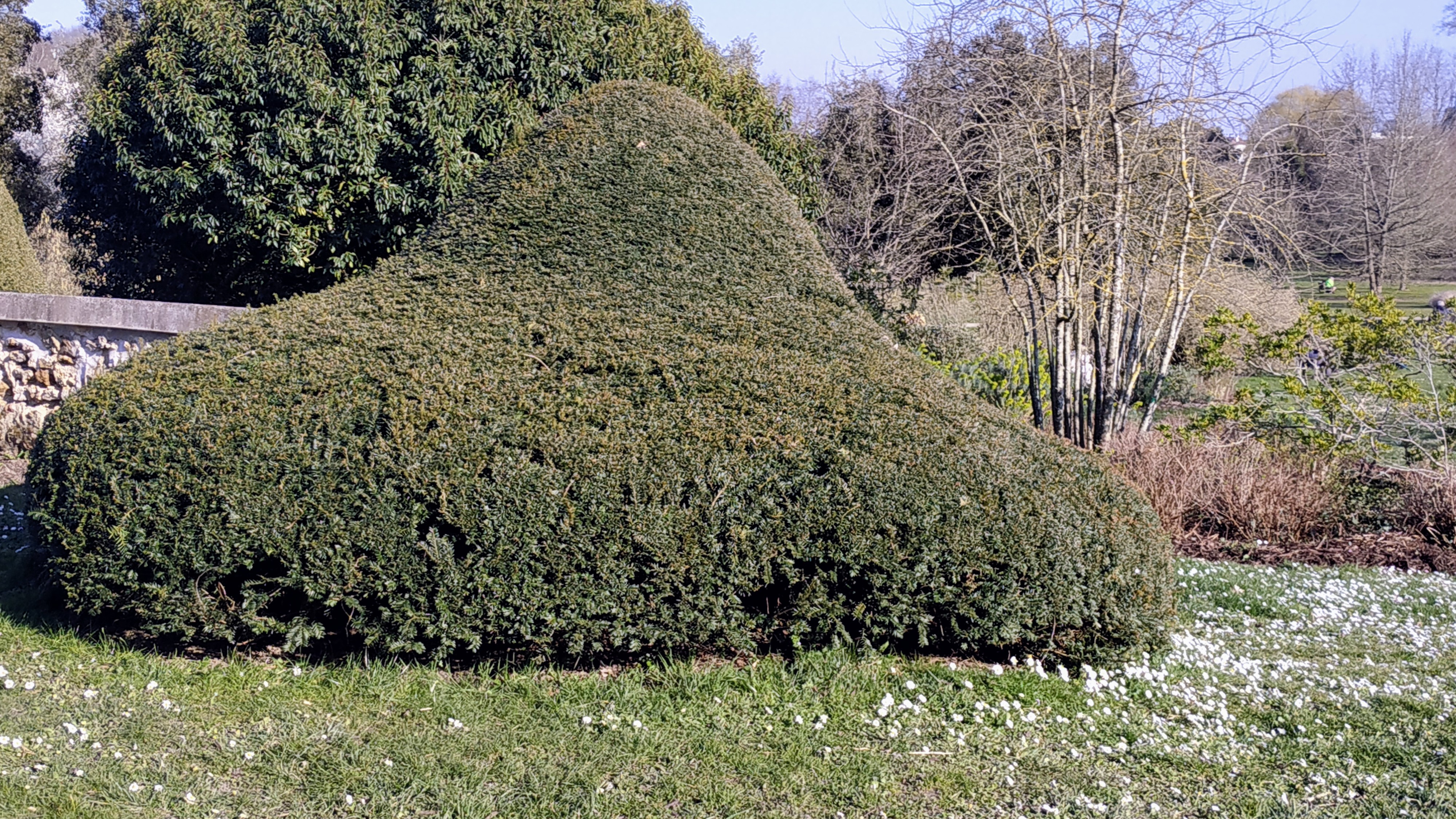 Photo n° 2 de l'avis de The.a fait le 08/03/2022 à 16:46