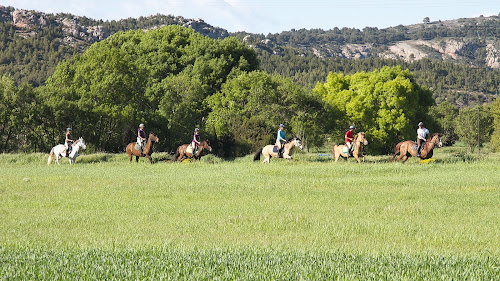 attractions EQUINANS - le Centre Equestre de Nans les Pins - CHEVAL PASSION & AVENTURES Nans-les-Pins