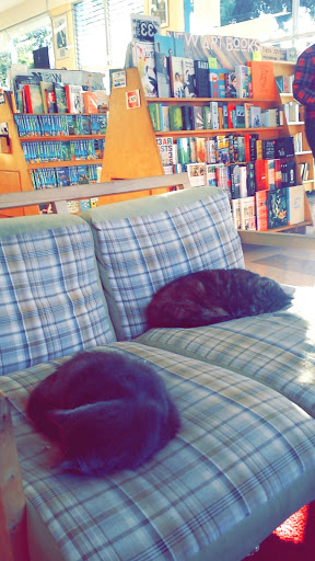 Book Store «Pegasus Books Downtown», reviews and photos, 2349 Shattuck Ave, Berkeley, CA 94704, USA