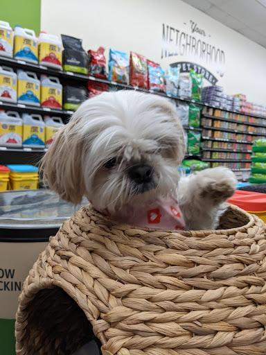 Pet Supply Store «Pet People-Grandview», reviews and photos, 1472 W 5th Ave, Columbus, OH 43212, USA