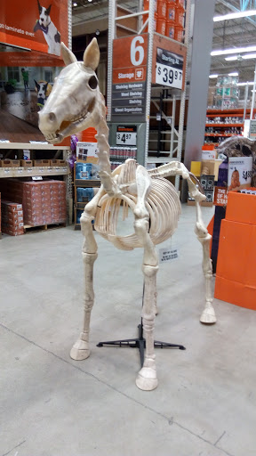 Home Improvement Store «The Home Depot», reviews and photos, 1315 US-19, Holiday, FL 34691, USA