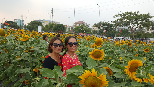 Công Ty Cổ Phần Xây Dựng Chịu Lửa BURWITZ