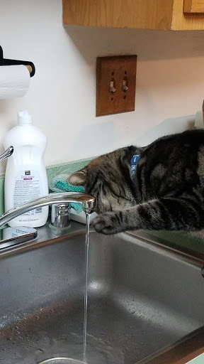 Pet Supply Store «PetSmart», reviews and photos, 5154 Nicholson Ln, Kensington, MD 20895, USA