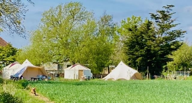 Ryebank Corner Glamping Campsite