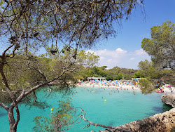 Zdjęcie Plaża Cala Mondrago położony w naturalnym obszarze