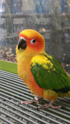 Pet Supply Store «Petco Animal Supplies», reviews and photos, 5631 Grove Blvd, Hoover, AL 35226, USA