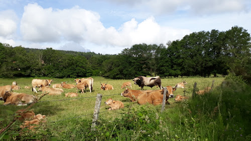 Centre de colonie de vacances Lozère Evasion Le Malzieu-Ville