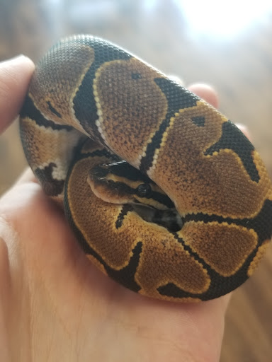 Pet Store «Pet Zone», reviews and photos, 1620 Marion-Mt Gilead Rd, Marion, OH 43302, USA