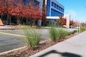 Upstate Cardiology - Greenville image