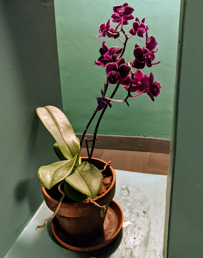 Art Museum «Isabella Stewart Gardner Museum», reviews and photos, 25 Evans Way, Boston, MA 02115, USA