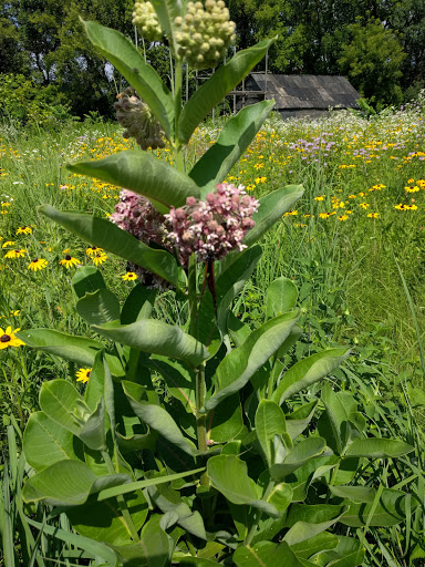 Museum «Gibbs Farm», reviews and photos, 2097 Larpenteur Ave W, St Paul, MN 55113, USA