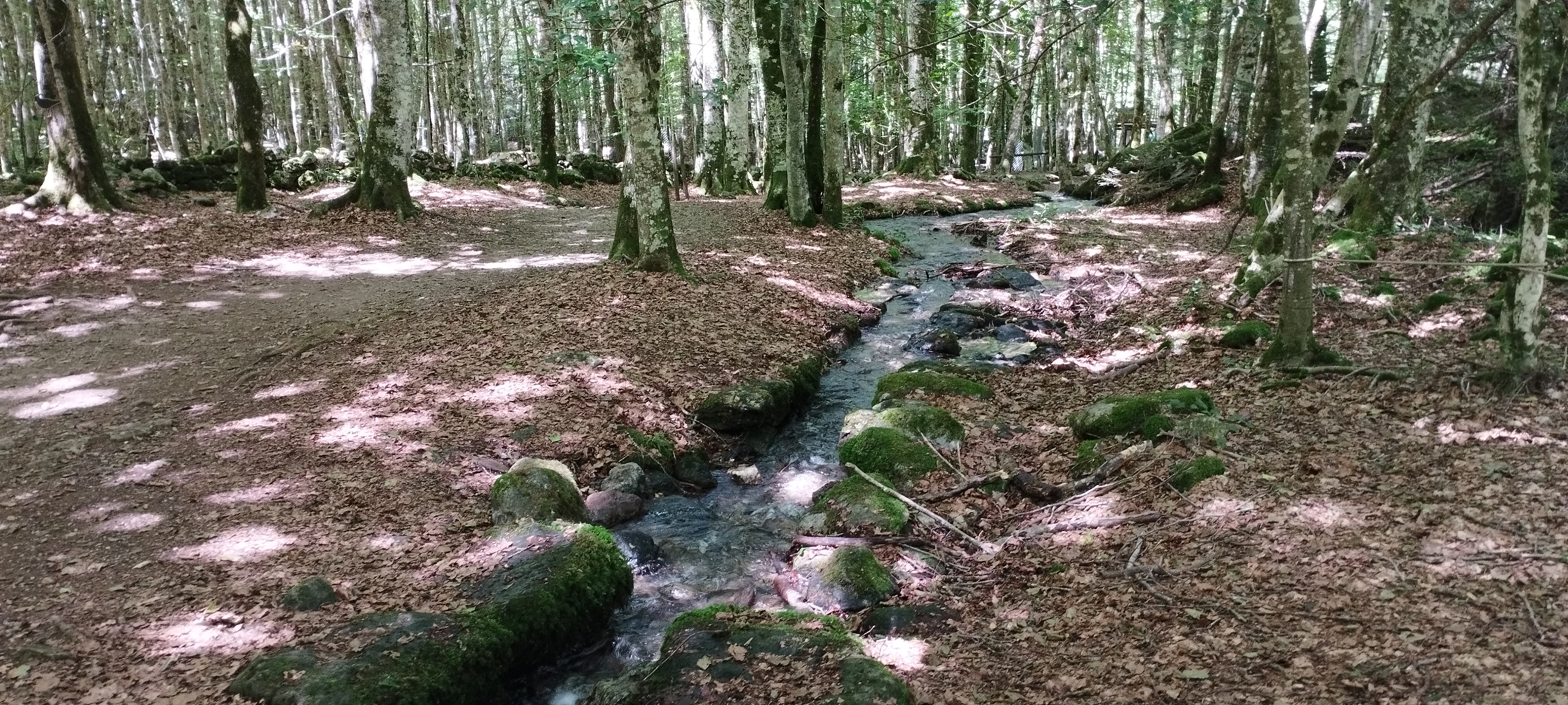Photo n° 5 de l'avis de Fabrice.e fait le 19/08/2023 à 21:56