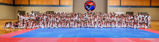 Sejong Taekwondo - Auckland City