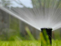 Groundscape Landscaping - Photo 2 - Car repair in , Cape Coral