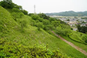 Minagawa Castle image