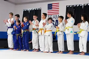 Pedro's Judo Center image