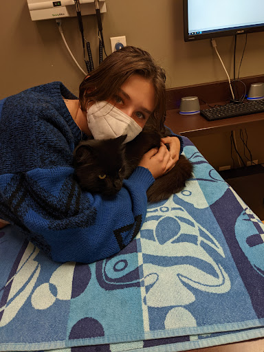 Adobe Animal Hospital image