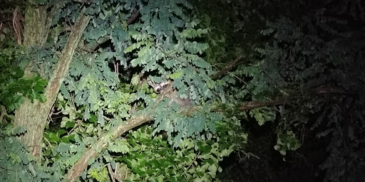 Campground «Camp Gateway - Sandy Hook», reviews and photos, 26 Hudson Rd, Highlands, NJ 07732, USA