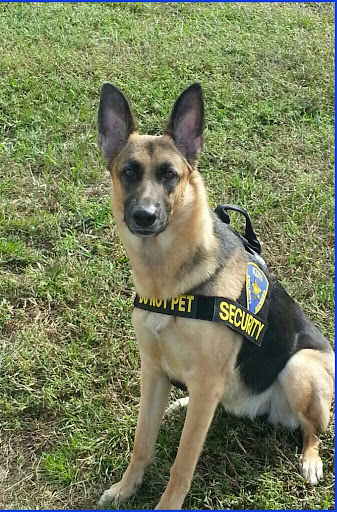 Pet Supply Store «Pet Supermarket», reviews and photos, 2924 13th St, St Cloud, FL 34769, USA