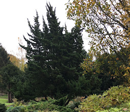 Foundation Arboretum Park Härle photo