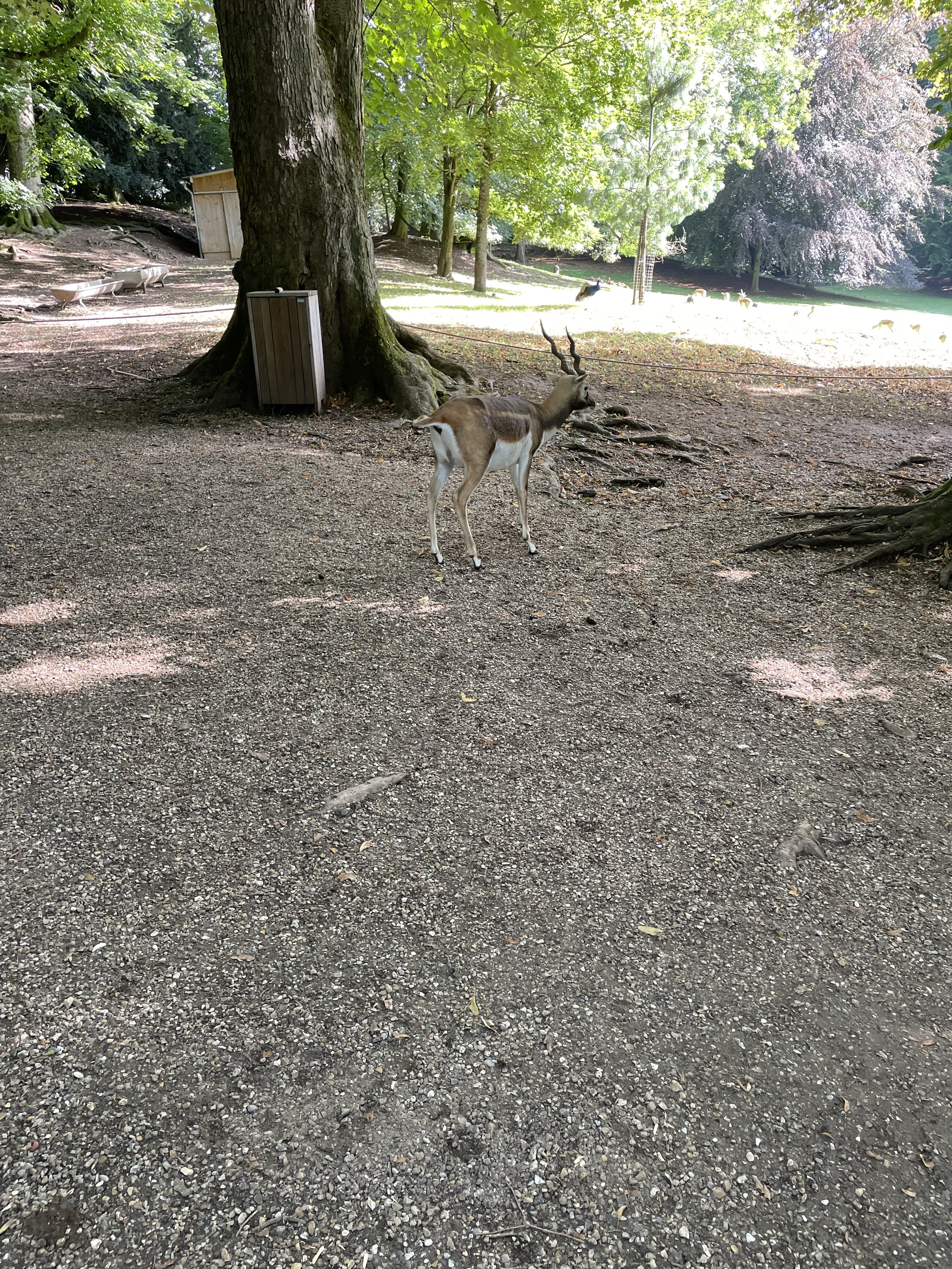 Photo n° 4 de l'avis de Chauveau.n fait le 31/08/2023 à 15:16