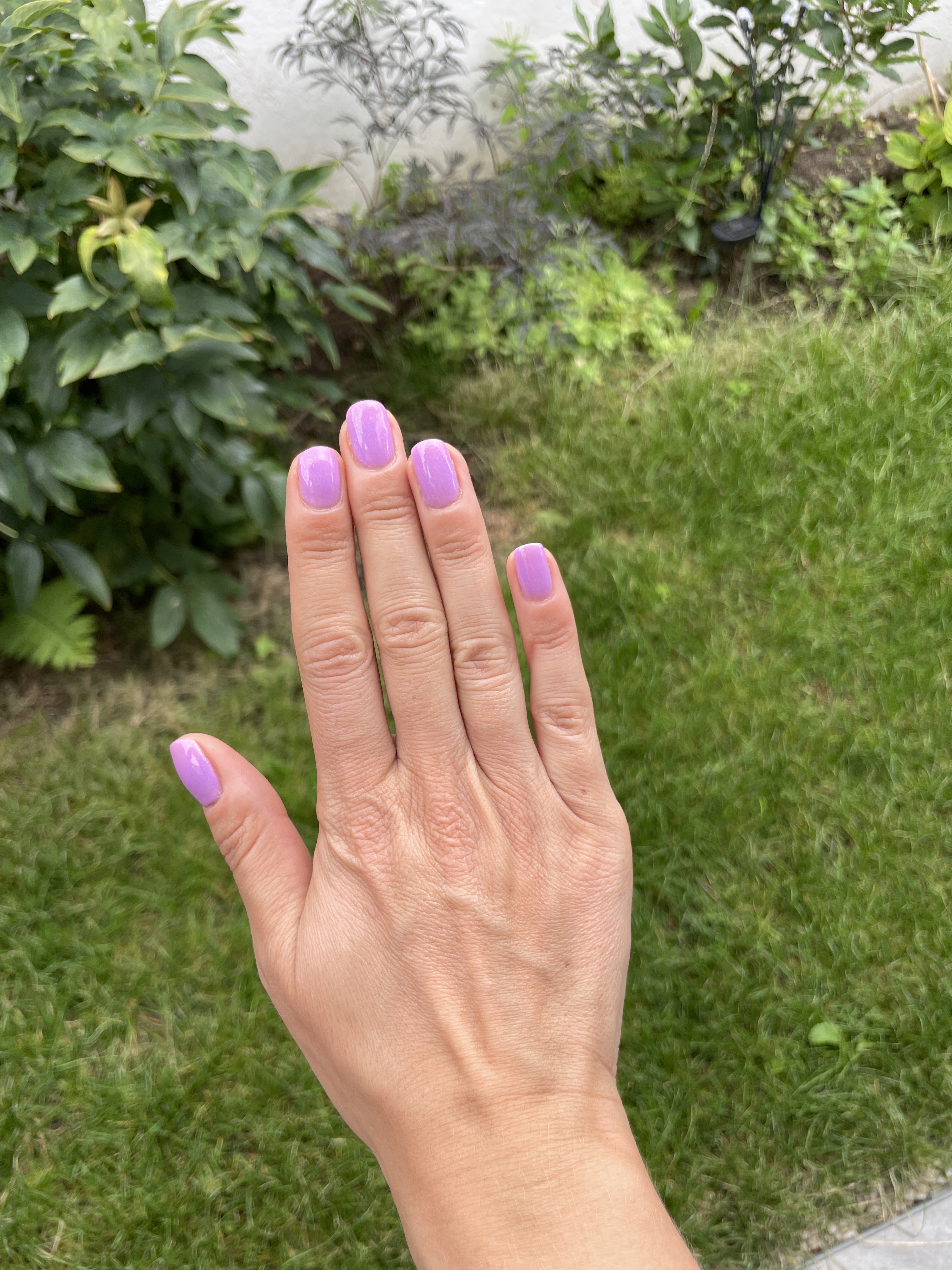 Photo n° 1 de l'avis de Lauriane.a fait le 11/08/2023 à 13:52